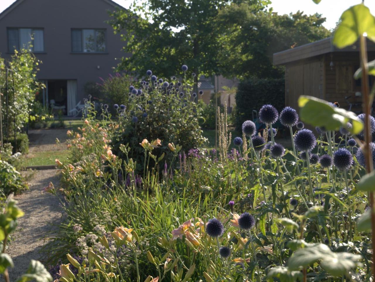 Barbara'S Bed & Breakfast Bed & Breakfast Sterrebeek Exterior photo